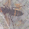 日本ミツバチの大敵、スズメバチ襲来の季節です。