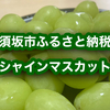 【ふるさと納税】長野県須坂市シャインマスカットが届きました！