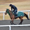 【一口馬主／ラキエータ】先輩の意地を見せておくれ♪