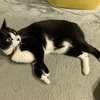 シーズン券の早割が始まりましたね