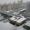 積雪に歓声あげるのは子ども