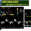 心エコーの解釈：E/e'について