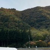 ベテラン選手の明暗