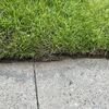芝刈り代も値上がりしてました。