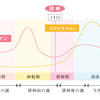 【徹底解説】ホルモンの仕組みとホルモンバランスを自分で整える方法