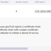 Orca Security で検知した脆弱性の内容を調べました 【CVE-2024-0567】