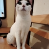 ６月２２日の満月おめでとうございます！