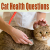 7 Important Cat Health Questions You Need to know