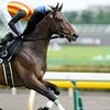 140629東京競馬場＜パラダイスステークス＞