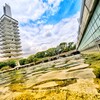 全日本すっぱ党
