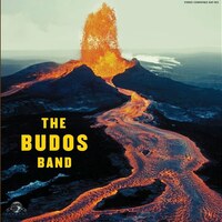 The Budos Band『The Budos Band』(2005)｜砂埃と熱気が渦巻くエチオ・ファンクの衝撃