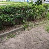 草刈り作業で「アセチルコリン」から「マーフィーの法則」まで