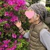 帰京。いつもの遠距離介護リターンズ