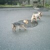 ７月〜梅雨本番です