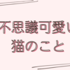 猫との暮らしは不思議がいっぱい