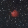 Ｓｈ２－２４２