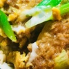 カツ丼の作り方を変えてみる　長ネギ使用でリベンジ