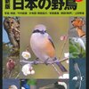 山渓ハンディ図鑑、日本の野鳥のレビュー。鳥を始めるならこの1冊で４分の３以上の種類が分かる