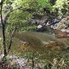 2018.4.21 相模川水系の渓流～午前中
