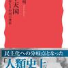 戦うユートピア運動／太平天国（菊池秀明）