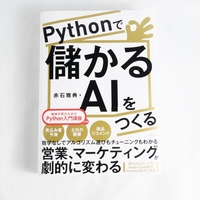 AI, ディープラーニングの本 ディープラーニングAIはどのように学習し、推論しているのか