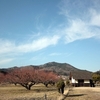 日和田山の金刀比羅神社に初詣