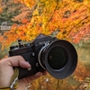 Nikon Fを持って紅葉狩りに行ってきた。