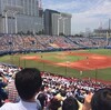 母校　甲子園出場！