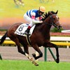 競馬 GII 報知杯弥生賞ディープインパクト記念