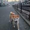 迷わず国立へ🚀大義ありあり🐜伝説の試合に