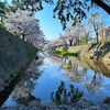 4月になりました