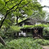 【展覧会Log】5/10、11に行った展覧会(2025/5/12-13記述)