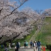 2026.4.3　さきたま古墳公園～うどんの大地