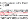 Information Propagation in the Bitcoin Network