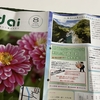 清流日本一宮川