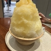 夏にはやっぱり…かき氷ですね。