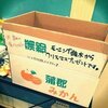 はじめて個別握手会に参加した2014年のレポを掘り返してみた