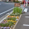 春本番・一気に花々が咲き乱れる