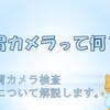 胃カメラ検査（上部消化管内視鏡）について解説します。