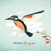 Prawn 「Kingfisher」