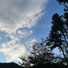 8月20日_わからない