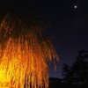 京都の夜明け前