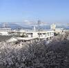 2009年の鹿児島の桜