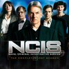 【独女海外ドラマ部】NCISネイビー シーズン１字幕版を観て アビー・愛河里花子さんの凄さを知る