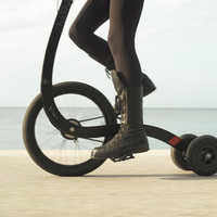 halfbike 3 - Lucille dog