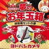 ヨドバシカメラ 2023年 夢のお年玉箱 掃除機セットの夢