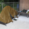 5日目：歩いてお遍路してくるから一緒に結願気分を味わおうよ