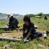 ５月６日の活動報告～古田、池田の播種、荒地の荒おこし