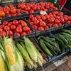 ブルガリアの野菜料理と夏野菜の魅力