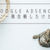 Google AdSenceに一発で合格した件